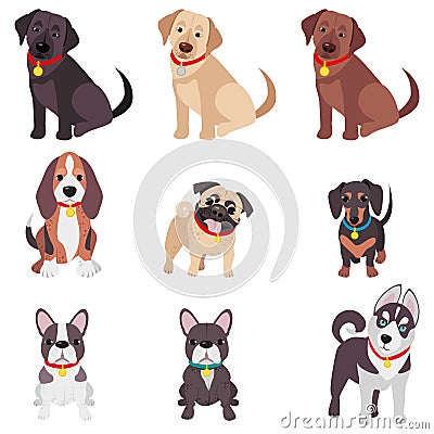 Vector illustration, set of funny purebred dogs, on a white background. Vector Illustration