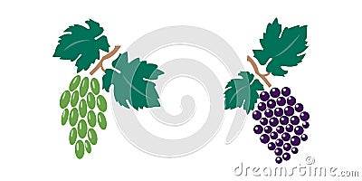 Vector Set of grapes - bunch of grapes with leaves - black icons on white background Stock Photo