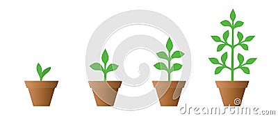 Vector illustration of a set of green icons - plant growth phase in a pot isolated Vector Illustration