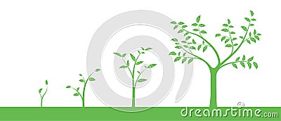 Vector illustration of a set of green icons - plant or tree growth phase, isolated Vector Illustration