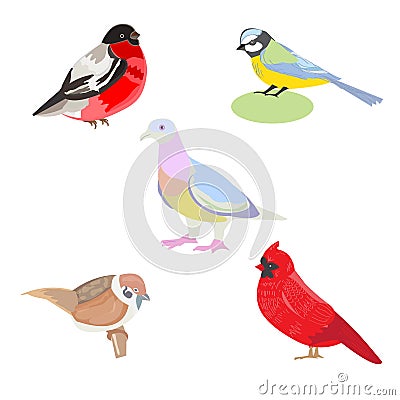 Vector illustration of a set of images of birds Vector Illustration