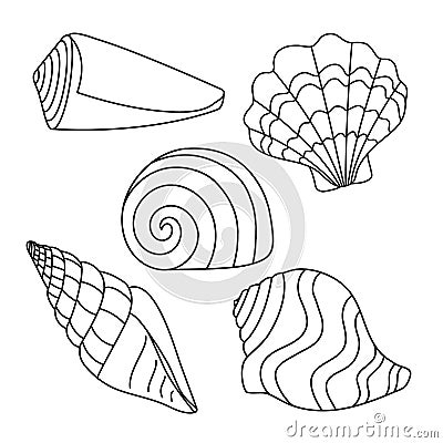 Vector illustration. Set with simple shell silhouettes. Drawing of black lines on a white background, Doodle. Vector Illustration
