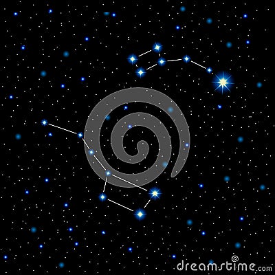 Vector illustration with shining stars and constellations in the night sky Vector Illustration