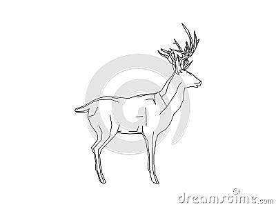 Vector illustration of the side of a deer in a polygon style on white background Cartoon Illustration