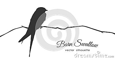 Silhouette of Barn Swallow sitting on a dry branch. Vector Illustration