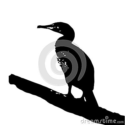 Vector illustration silhouette of cormorant bird , black and white Vector Illustration