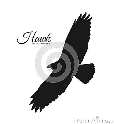 Vector illustration: Silhouette of flying Hawk isolated on white background. Black eagle. Vector Illustration