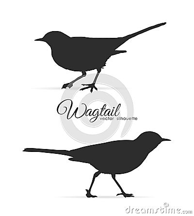 Vector illustration: Silhouette of Wagtail Vector Illustration
