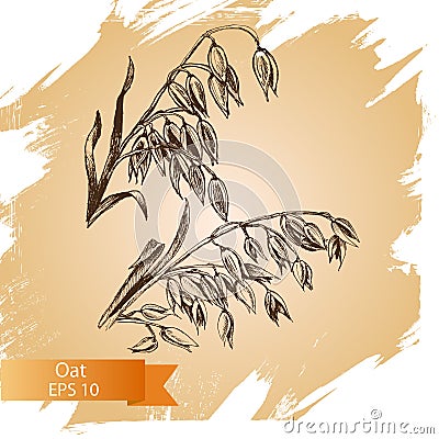 Vector illustration sketch - autumn. Vector hand drawn cereal crops sketches. Cartoon Illustration