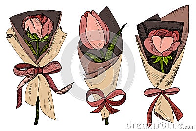 Vector illustration of sketch hand drawn set of bouquet with colorful pink peony, tulip and rose flowers. Vector Illustration