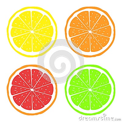 Vector illustration of slices of citrus fruits. Isolated. Vector Illustration