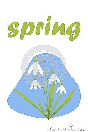 Vector illustration of snowdrops and the lettering Spring. first spring flowers Vector Illustration