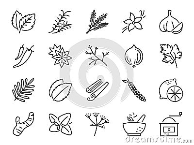 Spices and herbs icon set. Included icons as basil, thyme, ginger, pepper, parsley, mint and more. Vector Illustration