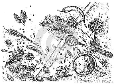 Cuisine aromatic spices still life Vector Illustration