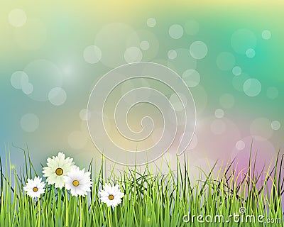 Vector illustration Spring nature field with green grass Vector Illustration