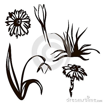 Vector illustration. Spring set drawn in black line. Snowdrops, birds, inscription spring. Lettering. Tattoo ornament Vector Illustration