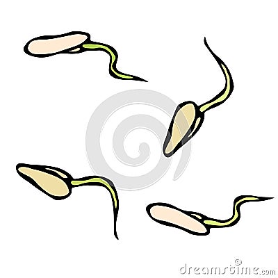 Vector Illustration of Sprouting Seeds. Seedling, Shoot, Gardening Plant. Trees, Flowers, Vegetables Cucumber, Zucchini, Pumpkin, Stock Photo