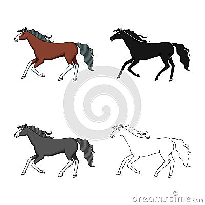 Vector illustration of steed and brown sign. Set of steed and gallop vector icon for stock. Vector Illustration