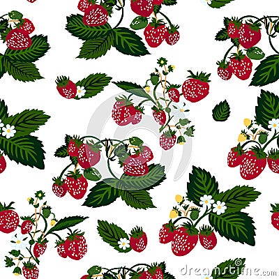 Vector illustration of strawberries seamless pattern. Cartoon Illustration