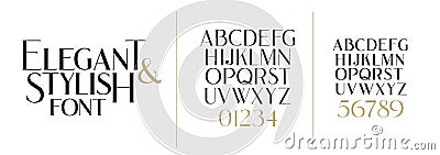 Vector illustration. Stylish elegant vector composite font. set of letters english Vector Illustration