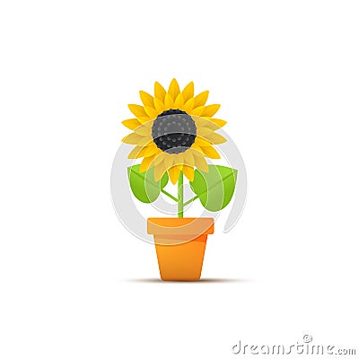 Vector illustration, Sunflower in a pot icon Cartoon Illustration