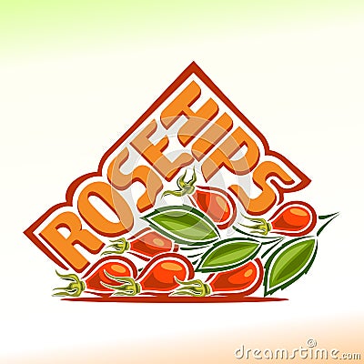 Vector illustration on the theme of rose hips Vector Illustration