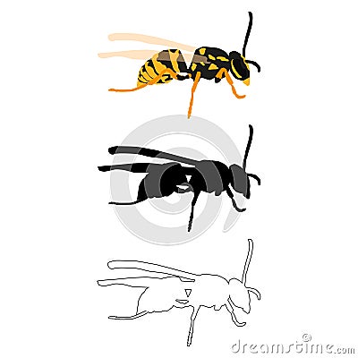 Vector illustration in three styles outline, silhouette, flat design, on the theme of the wasp insect Vector Illustration