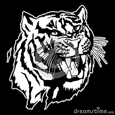 Vector illustration of a tiger`s head Vector Illustration