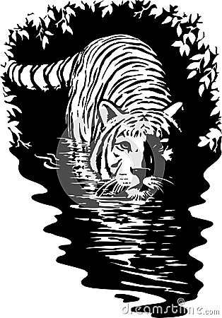 Tiger in Water Illustration Vector Illustration