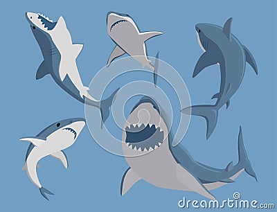 Vector illustration toothy swimming angry shark animal sea fish character underwater cute marine wildlife mascot. Vector Illustration