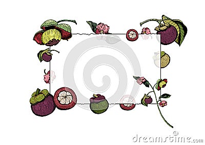 Frame with purple mangosteen fruits and flowers, hand drawn and colored. Cartoon Illustration