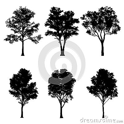 Vector illustration of tree silhouettes Vector Illustration