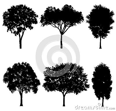 Vector illustration of tree silhouettes Vector Illustration