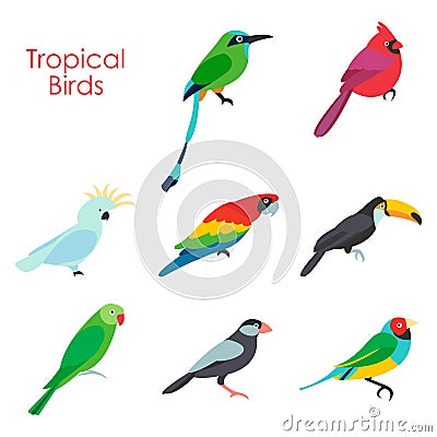 Vector illustration of tropical birds icon Vector Illustration