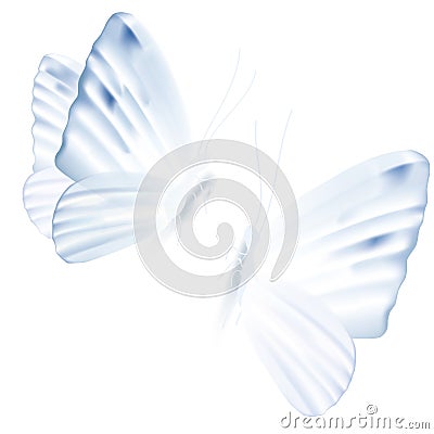 Vector illustration of two light blue butterflies Vector Illustration