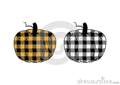 Vector illustration of two pumpkins or cucurbita with buffalo plaid pattern Vector Illustration