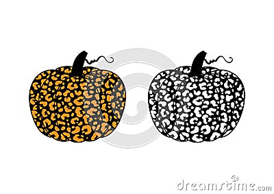 Vector illustration of two pumpkins or cucurbita with leopard print Vector Illustration