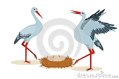 Vector illustration of two storks standing next to a nest with eggs Vector Illustration
