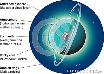 Internal structure - uranus Vector Illustration