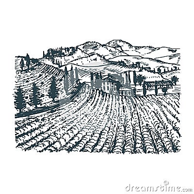 Vector illustration of vineyard. Hand sketch of villa, homestead in fields and hills. Drawn mediterranean landscape. Vector Illustration