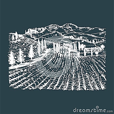 Vector illustration of vineyard. Hand sketch of villa, homestead in fields and hills. Drawn mediterranean landscape. Vector Illustration