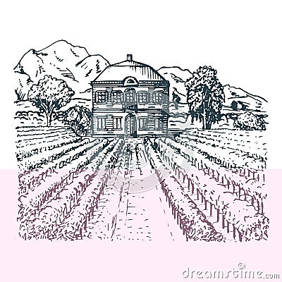 Vector illustration of vineyard. Hand sketch of villa, homestead in fields and hills. Drawn mediterranean landscape. Vector Illustration