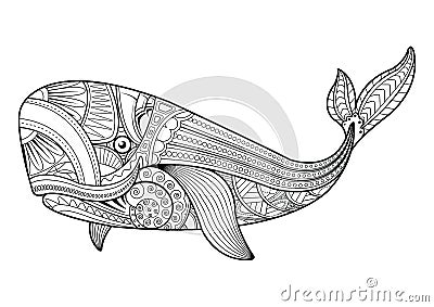 Vector illustration of whale coloring pages. Vector Illustration