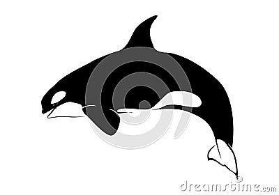 Vector illustration of a whales .Fish on a white background. Cartoon Illustration