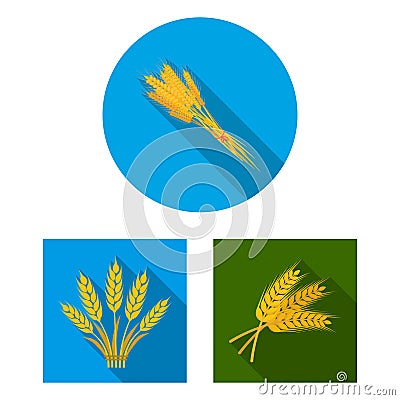 Vector design of wheat and stalk logo. Collection of wheat and grain stock symbol for web. Vector Illustration