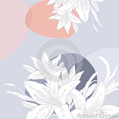 Vector illustration with white lilies. Square pattern for your text. Invitation to the holiday. Beautiful draw of tiger lilly Vector Illustration