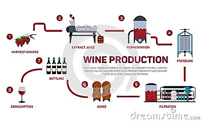 Vector illustration of wine making. How wine is made, wine elements, creating a wine, winemaker tool set and vineyard Vector Illustration