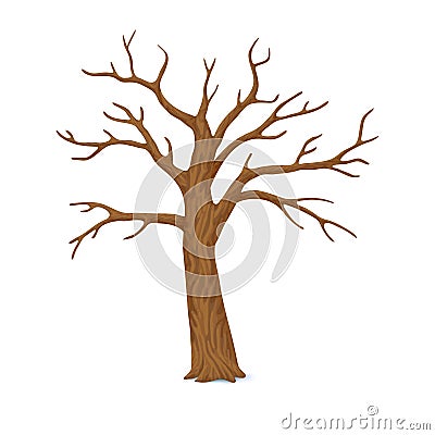 Vector illustration. Winter, late autumn icon. Single bare, leafless tree with empty branches isolated on a white background. Vector Illustration