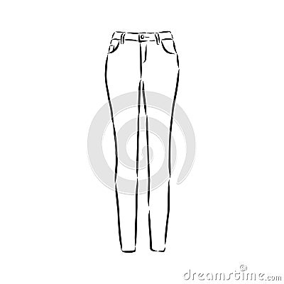 Vector illustration of women`s skinny pants. women`s skinny jeans, vector sketch illustration Cartoon Illustration