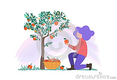 Vector illustration of a young girl picking apples in the garden, harvesting flat design Cartoon Illustration